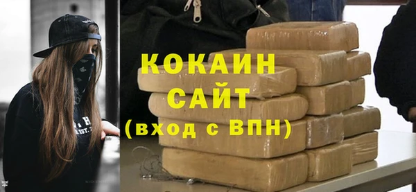 хмурый Белокуриха