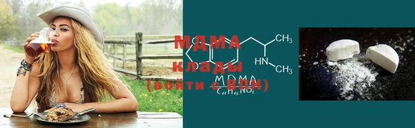 хмурый Белокуриха