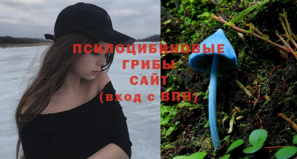 хмурый Балабаново