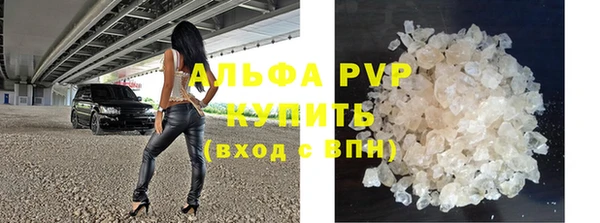 хмурый Белокуриха