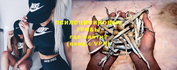 хмурый Балабаново