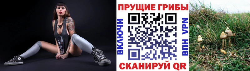Галлюциногенные грибы MAGIC MUSHROOMS  Сланцы 