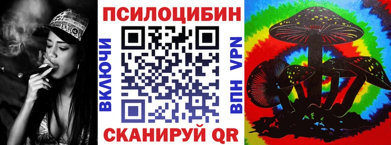 Псилоцибиновые грибы Cubensis Сланцы